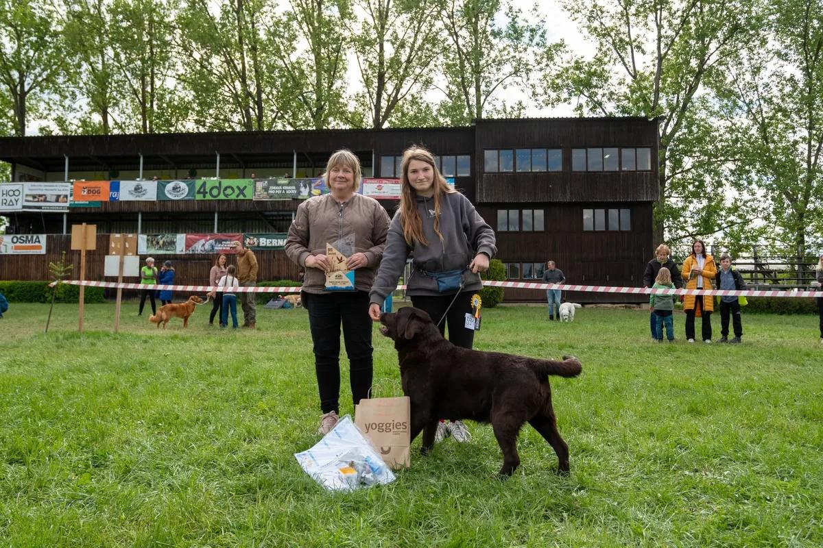 Diplom a trofeje Klubový šampion