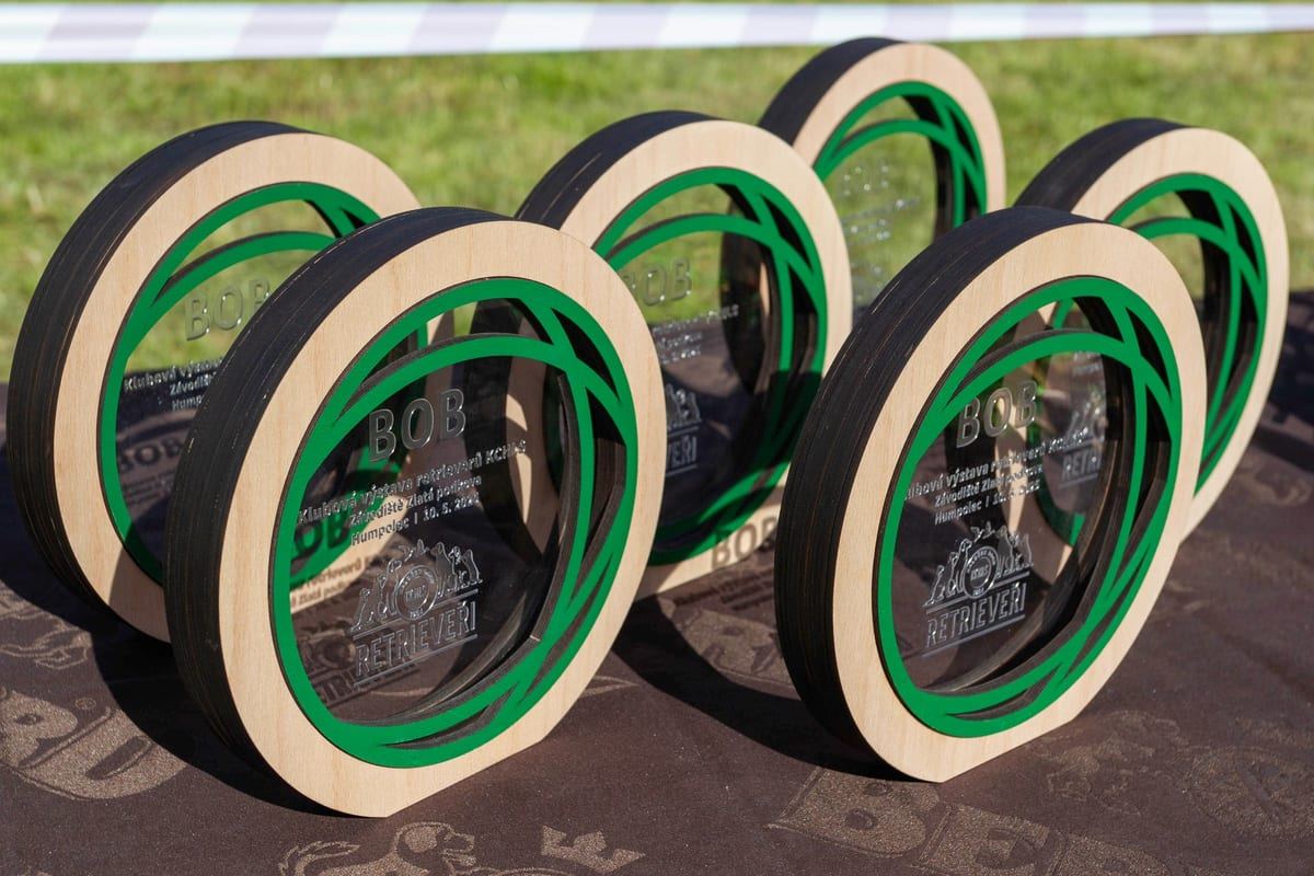Trofej KCHLS – přírodní materiály