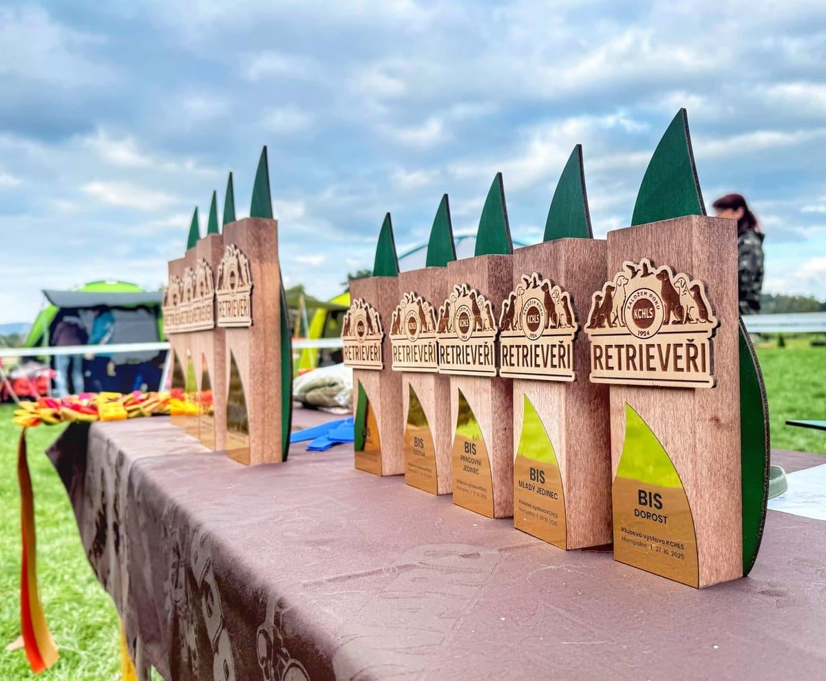 Trofej KCHLS – odznaky pro rozhodčí