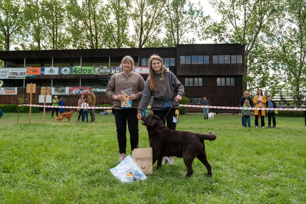Diplom a trofeje Klubový šampion